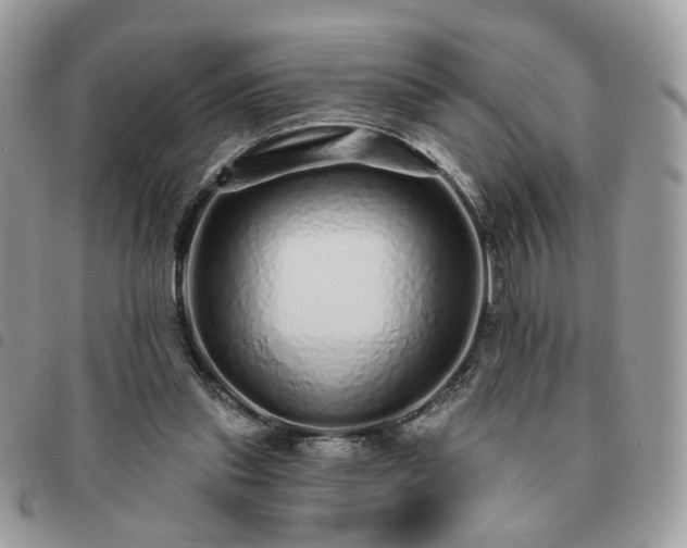 X0000091310253200708171422