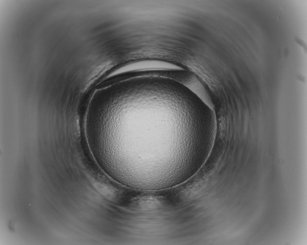 X0000091310254200708171422