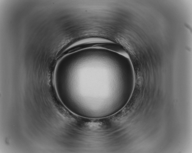 X0000091310255200708171423