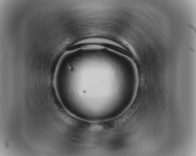 X0000091310257200708171423