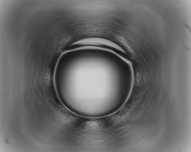 X0000091310259200708171423