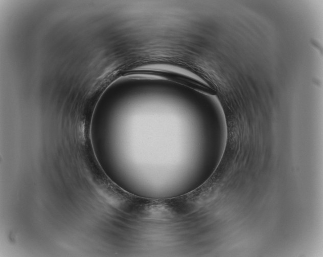 X0000091310262200708171423