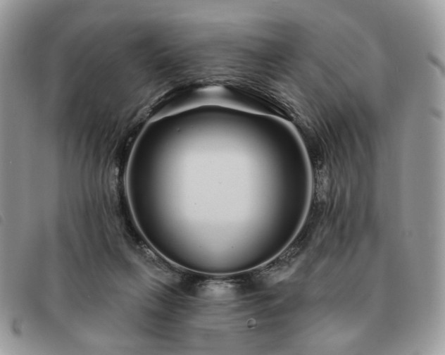 X0000091310263200708171423