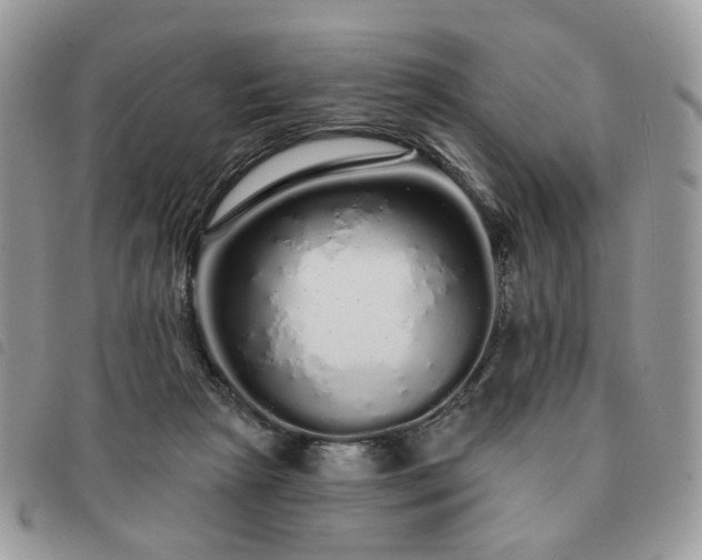 X0000091310265200708171423