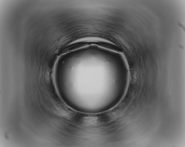 X0000091310266200708171423