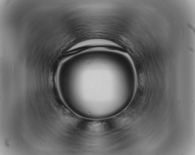 X0000091310267200708171423