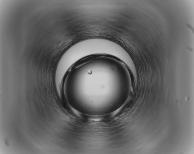 X0000091310268200708171423