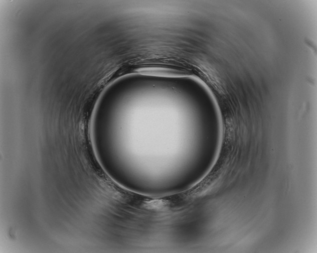 X0000091310269200708171423