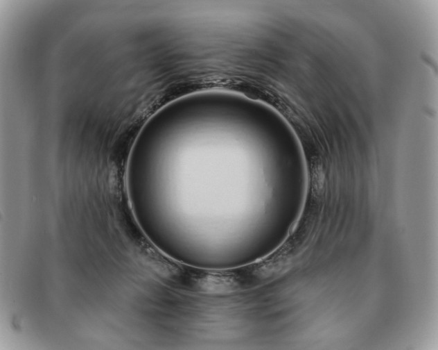 X0000091310270200708171423