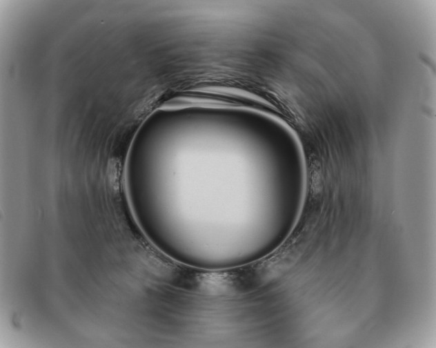 X0000091310273200708171423