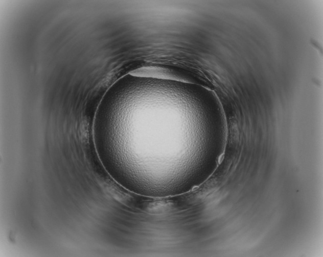 X0000091310274200708171423