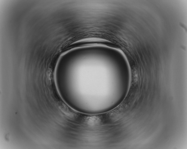 X0000091310275200708171423