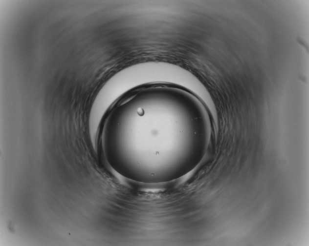 X0000091310276200708171423