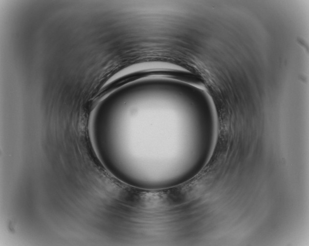 X0000091310277200708171423