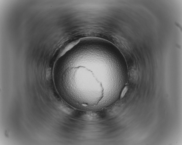 X0000091310278200708171423