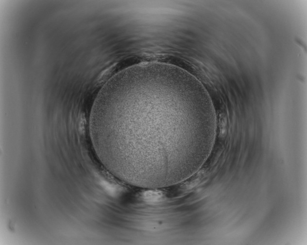 X0000091310279200708171423