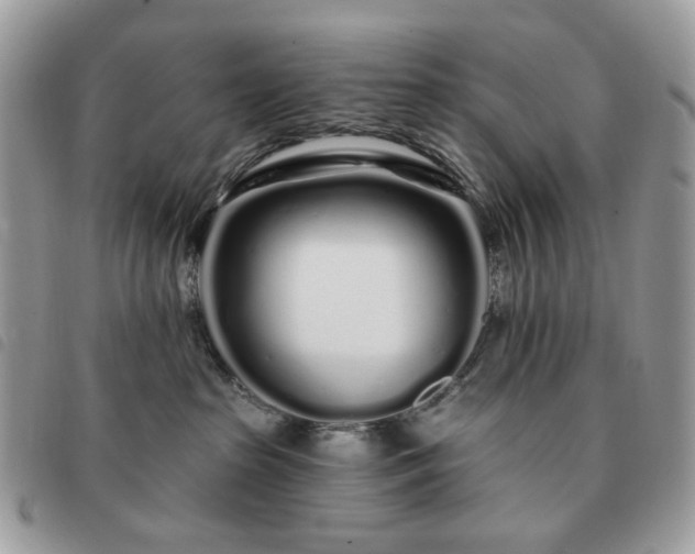 X0000091310285200708171423