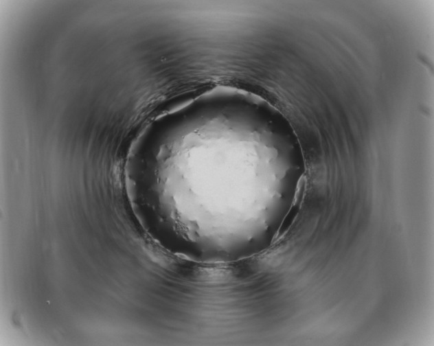 X0000091310286200708171423