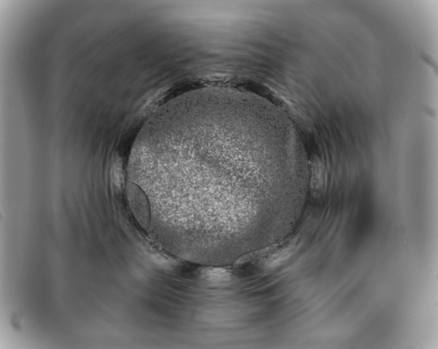 X0000091310287200708171423