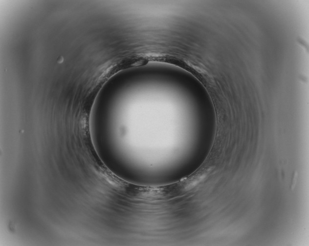 X0000091310288200708171423