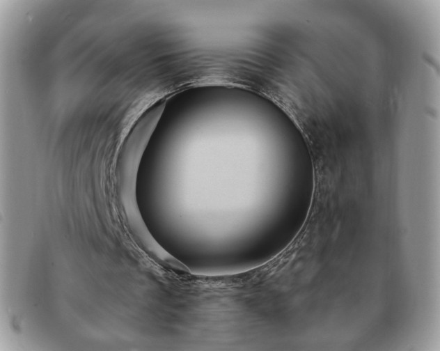 X0000091310289200708171422