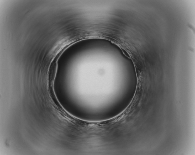 X0000091310290200708171422