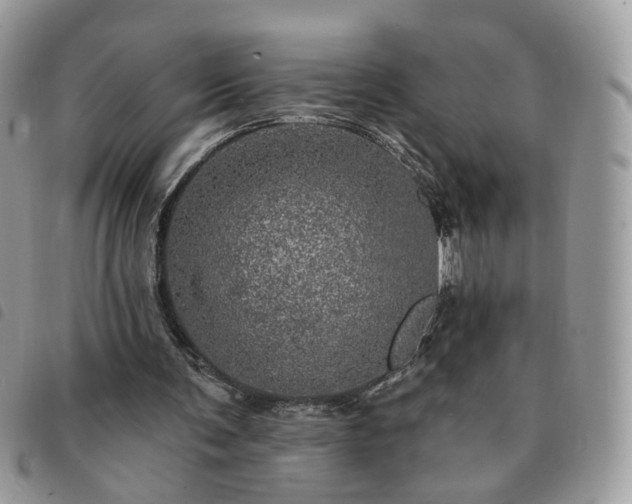 X0000091310291200708171422