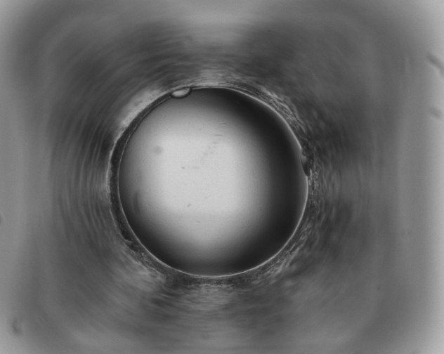 X0000091310292200708171422