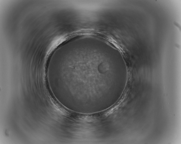 X0000091310293200708171422