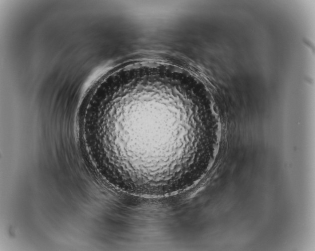 X0000091310294200708171422