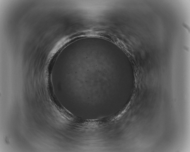 X0000091310295200708171422