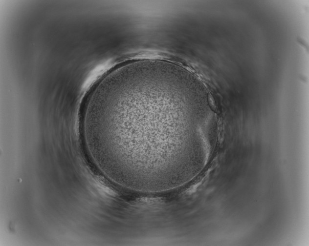 X0000091310296200708171422