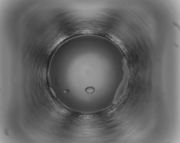 X0000091310297200708171422