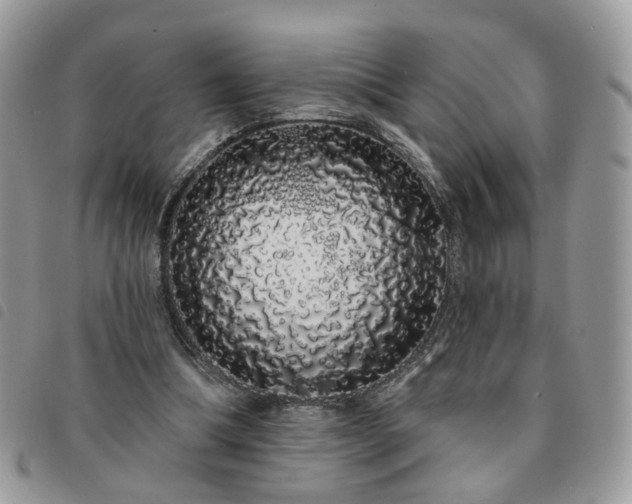 X0000091310298200708171422