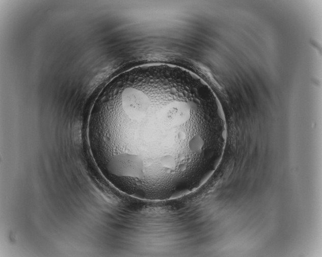 X0000091310299200708171422