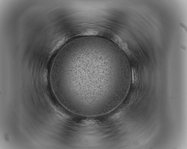 X0000091310300200708171422