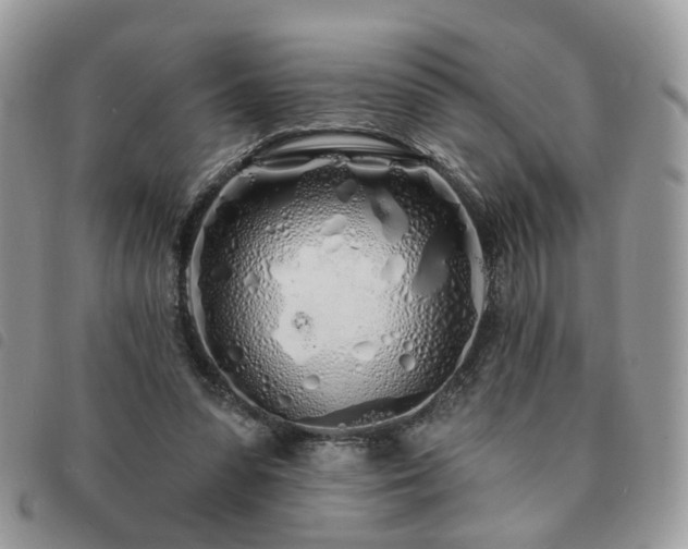 X0000091310303200708171422