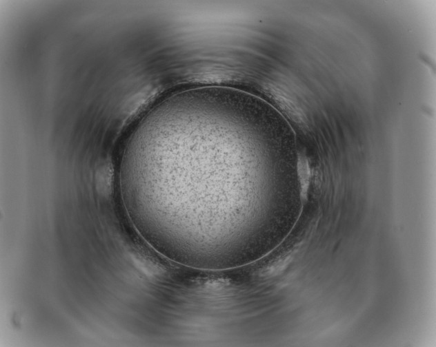 X0000091310304200708171422