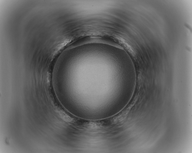 X0000091310305200708171422