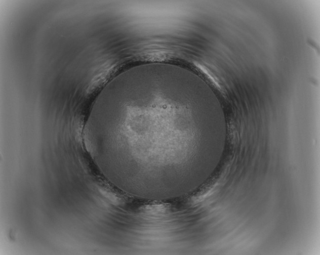 X0000091310307200708171422