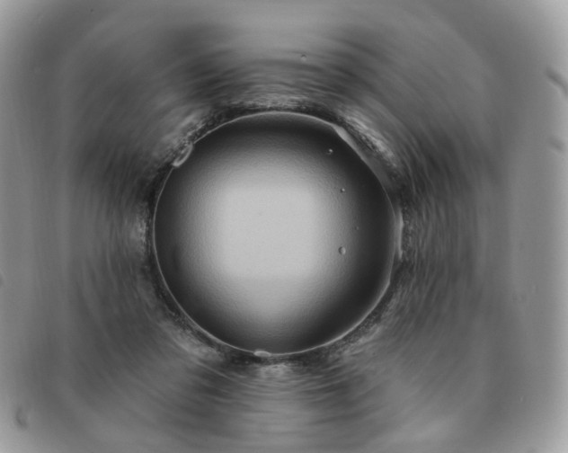 X0000091310309200708171422