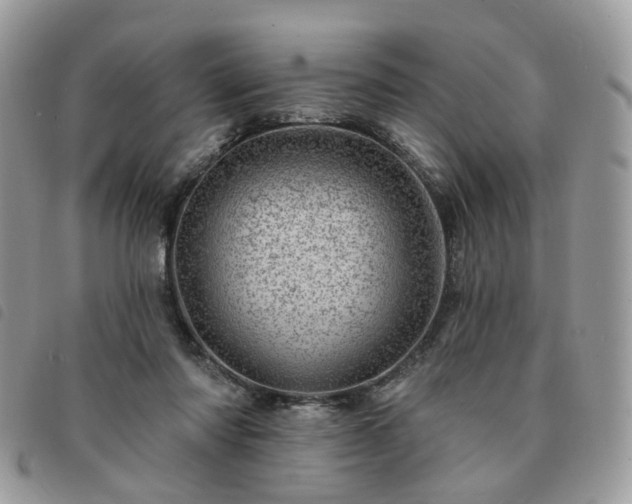 X0000091310310200708171422