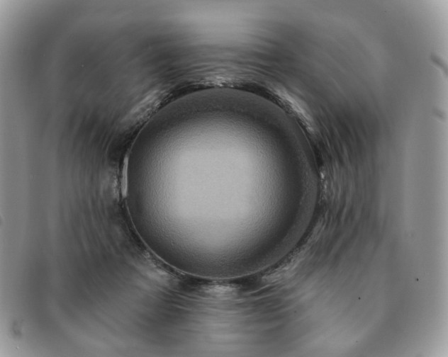 X0000091310313200708171422