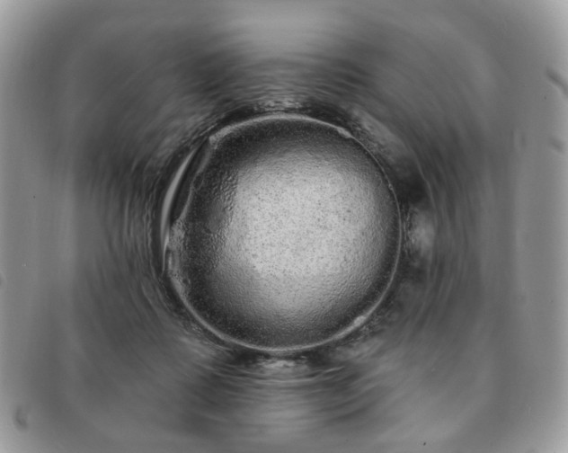 X0000091310315200708171422