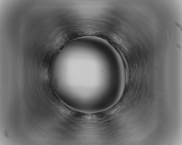 X0000091310317200708171422