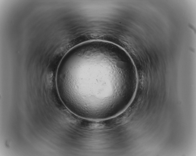 X0000091310319200708171422