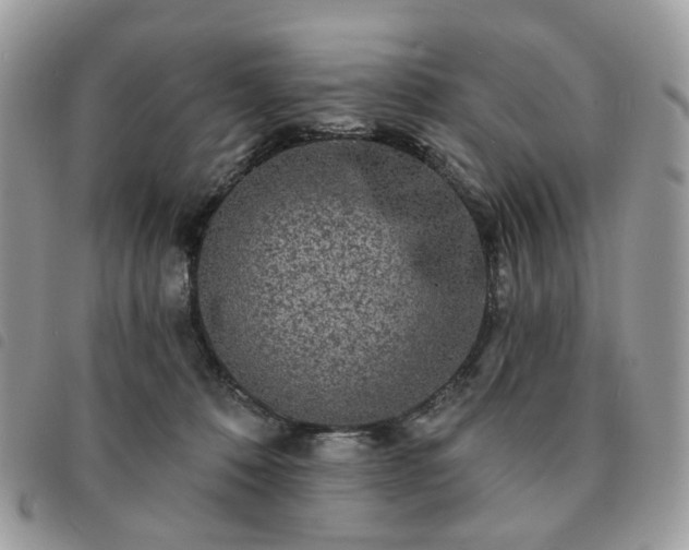 X0000091310320200708171422