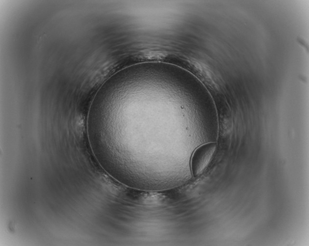 X0000091310321200708171422