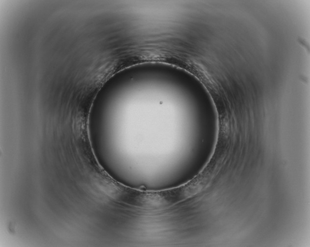 X0000091310322200708171422