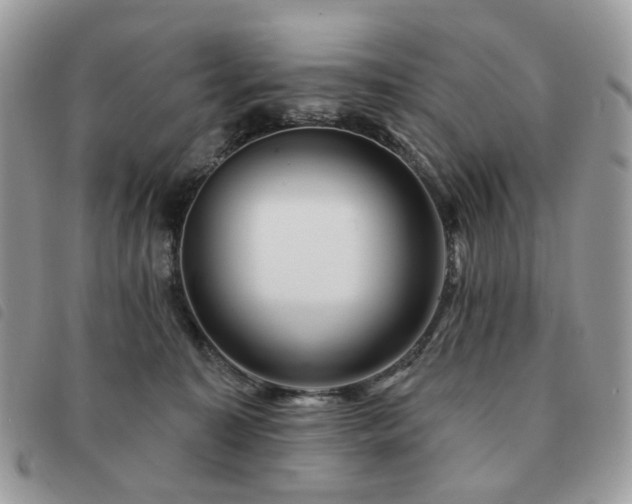 X0000091310323200708171422